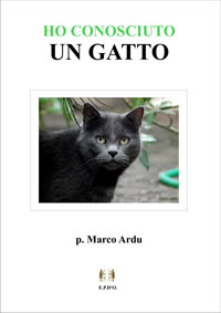 Ho conosciuto un gatto